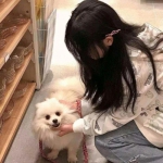 魔王复仇记百度手游下载